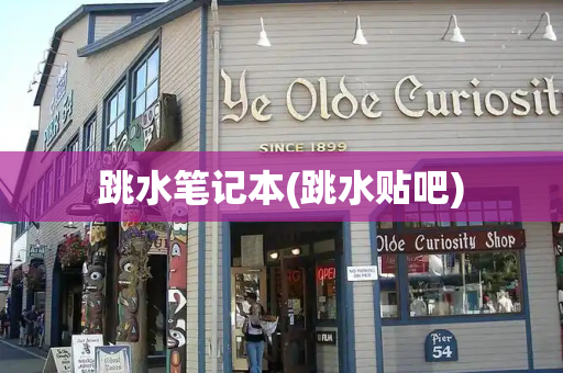 跳水笔记本(跳水贴吧)