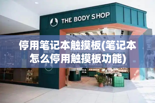 停用笔记本触摸板(笔记本怎么停用触摸板功能)