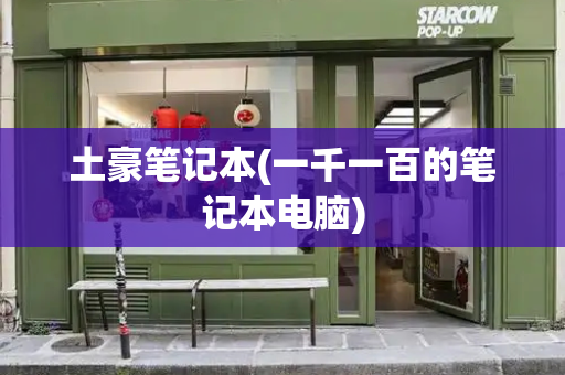 土豪笔记本(一千一百的笔记本电脑)-第1张图片-星选测评