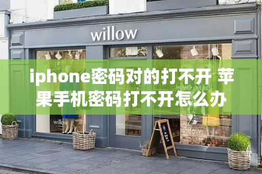 iphone密码对的打不开 苹果手机密码打不开怎么办-第1张图片-星选测评