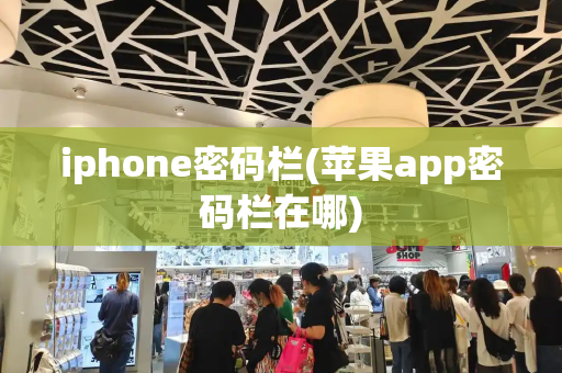 iphone密码栏(苹果app密码栏在哪)-第1张图片-星选测评