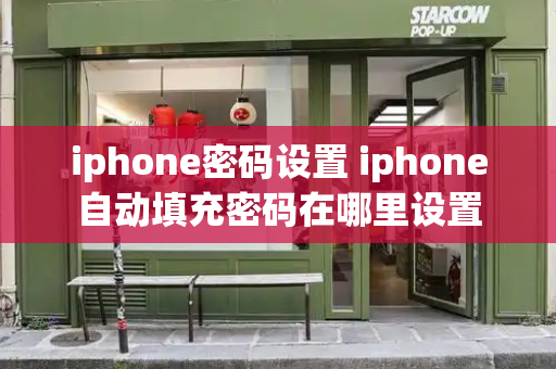 iphone密码设置 iphone自动填充密码在哪里设置-第1张图片-星选测评