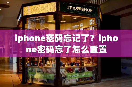 iphone密码忘记了？iphone密码忘了怎么重置-第1张图片-星选测评