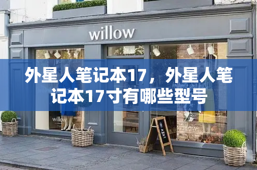 外星人笔记本17，外星人笔记本17寸有哪些型号-第1张图片-星选测评