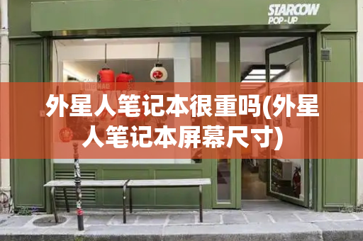 外星人笔记本很重吗(外星人笔记本屏幕尺寸)-第1张图片-星选测评