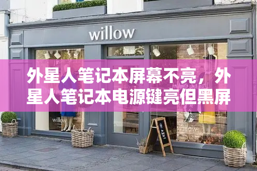 外星人笔记本屏幕不亮，外星人笔记本电源键亮但黑屏-第1张图片-星选测评