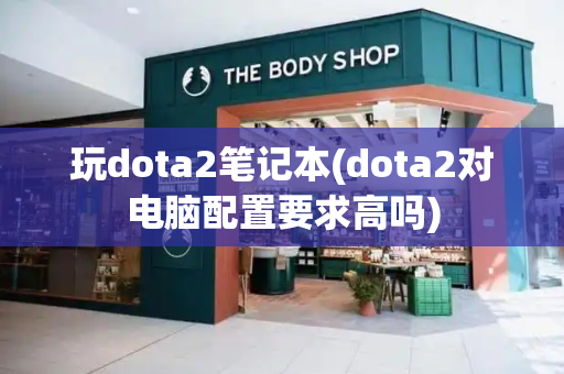 玩dota2笔记本(dota2对电脑配置要求高吗)