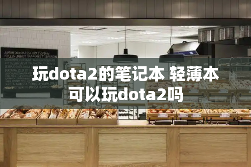 玩dota2的笔记本 轻薄本可以玩dota2吗-第1张图片-星选测评