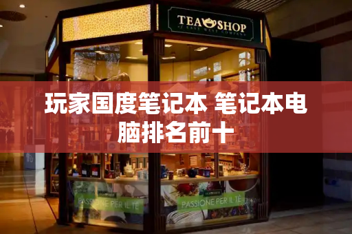 玩家国度笔记本 笔记本电脑排名前十
