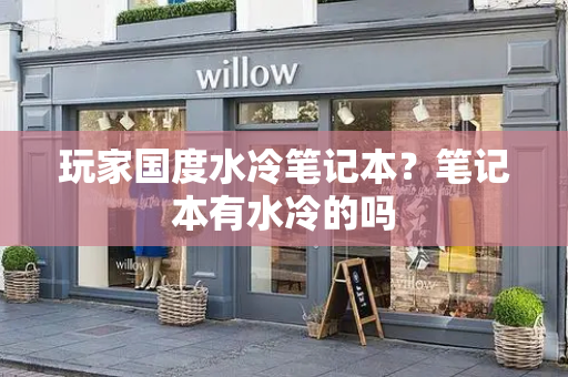 玩家国度水冷笔记本？笔记本有水冷的吗