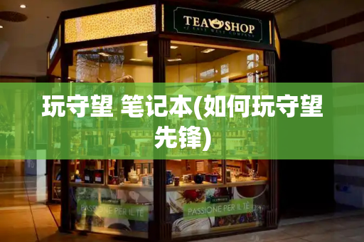 玩守望 笔记本(如何玩守望先锋)