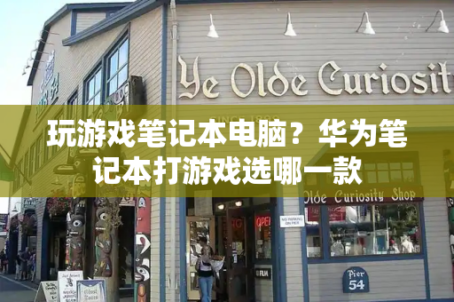 玩游戏笔记本电脑？华为笔记本打游戏选哪一款-第1张图片-星选测评