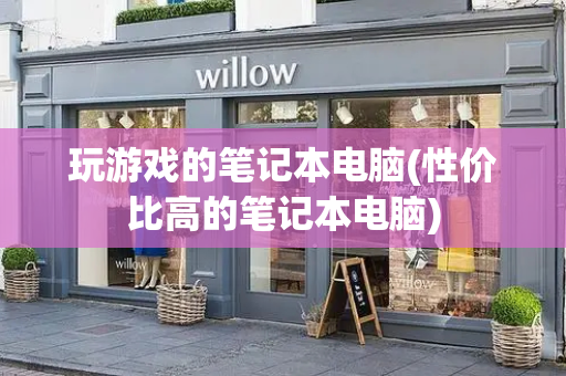 玩游戏的笔记本电脑(性价比高的笔记本电脑)