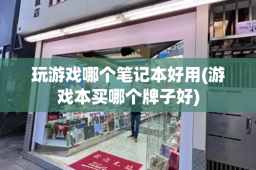 玩游戏哪个笔记本好用(游戏本买哪个牌子好)-第1张图片-星选测评