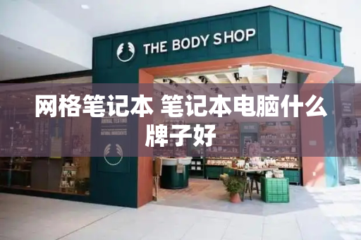 网格笔记本 笔记本电脑什么牌子好-第1张图片-星选测评