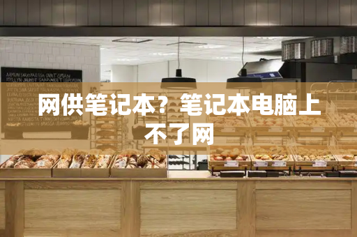 网供笔记本？笔记本电脑上不了网-第1张图片-星选测评