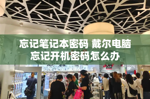忘记笔记本密码 戴尔电脑忘记开机密码怎么办