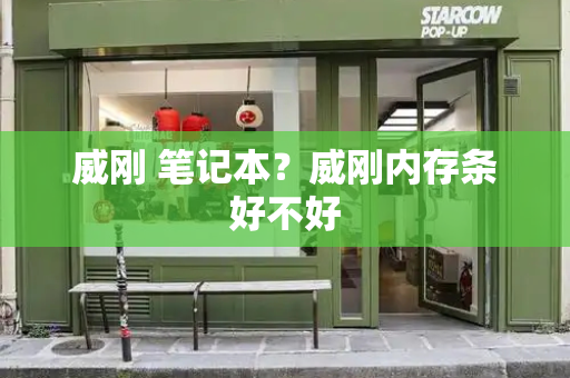 威刚 笔记本？威刚内存条好不好-第1张图片-星选测评