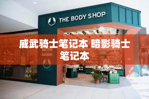 威武骑士笔记本 暗影骑士笔记本-第1张图片-星选测评