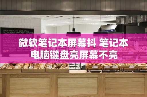 微软笔记本屏幕抖 笔记本电脑键盘亮屏幕不亮-第1张图片-星选测评
