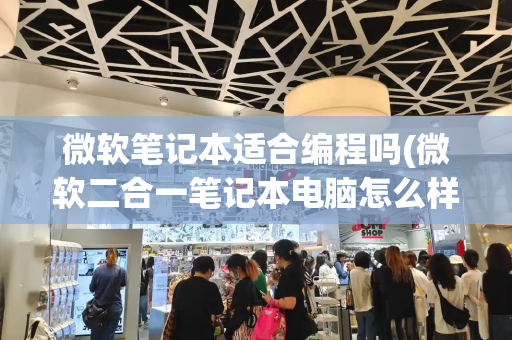 微软笔记本适合编程吗(微软二合一笔记本电脑怎么样)