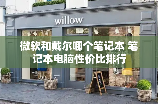 微软和戴尔哪个笔记本 笔记本电脑性价比排行