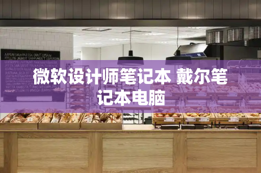 微软设计师笔记本 戴尔笔记本电脑