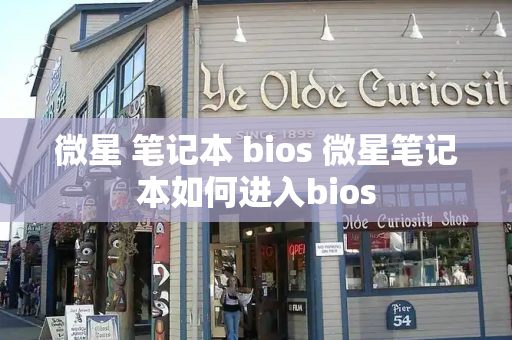 微星 笔记本 bios 微星笔记本如何进入bios-第1张图片-星选测评