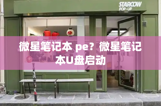 微星笔记本 pe？微星笔记本U盘启动