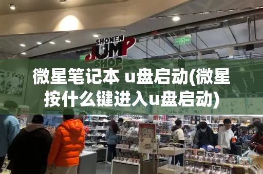 微星笔记本 u盘启动(微星按什么键进入u盘启动)