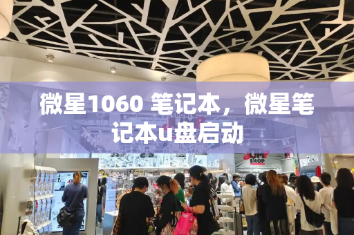 微星1060 笔记本，微星笔记本u盘启动-第1张图片-星选测评
