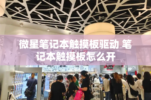 微星笔记本触摸板驱动 笔记本触摸板怎么开