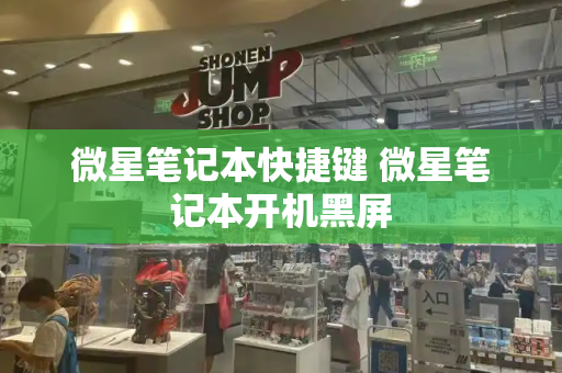 微星笔记本快捷键 微星笔记本开机黑屏