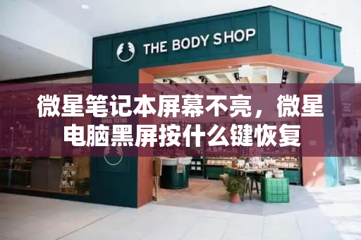 微星笔记本屏幕不亮，微星电脑黑屏按什么键恢复-第1张图片-星选测评