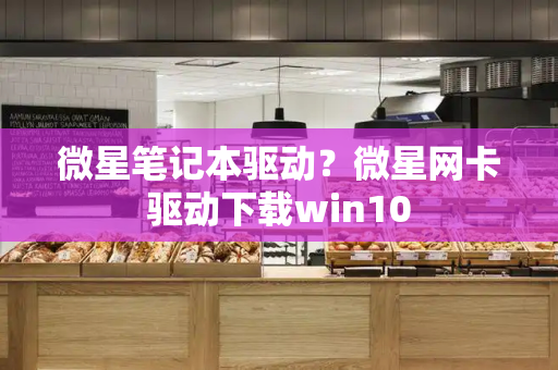 微星笔记本驱动？微星网卡驱动下载win10-第1张图片-星选测评