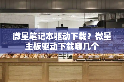 微星笔记本驱动下载？微星主板驱动下载哪几个-第1张图片-星选测评