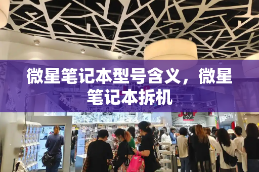 微星笔记本型号含义，微星笔记本拆机-第1张图片-星选测评