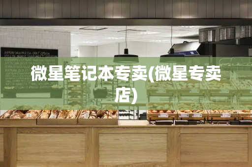 微星笔记本专卖(微星专卖店)-第1张图片-星选测评