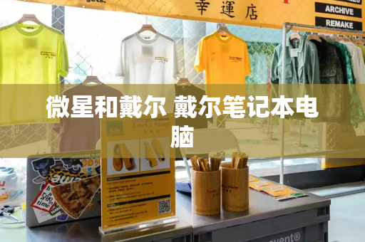 微星和戴尔 戴尔笔记本电脑-第1张图片-星选测评