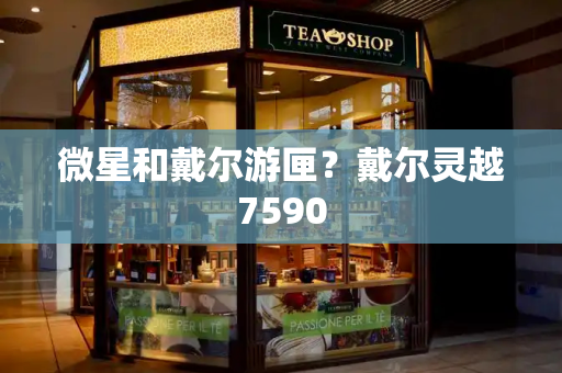微星和戴尔游匣？戴尔灵越7590-第1张图片-星选测评