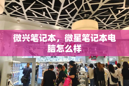 微兴笔记本，微星笔记本电脑怎么样-第1张图片-星选测评