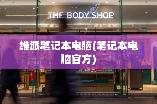 维派笔记本电脑(笔记本电脑官方)-第1张图片-星选测评