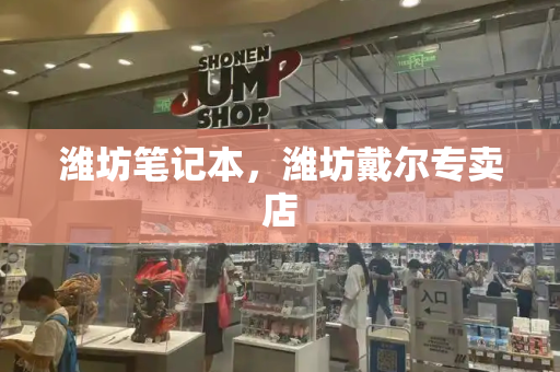 潍坊笔记本，潍坊戴尔专卖店-第1张图片-星选测评
