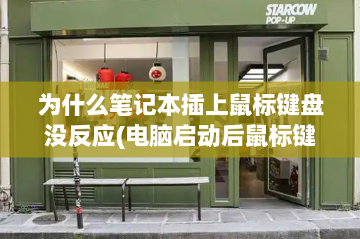 为什么笔记本插上鼠标键盘没反应(电脑启动后鼠标键盘没反应)