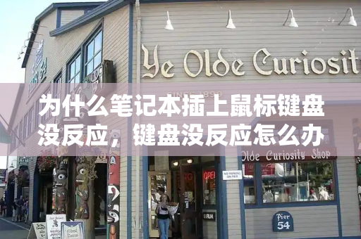 为什么笔记本插上鼠标键盘没反应，键盘没反应怎么办