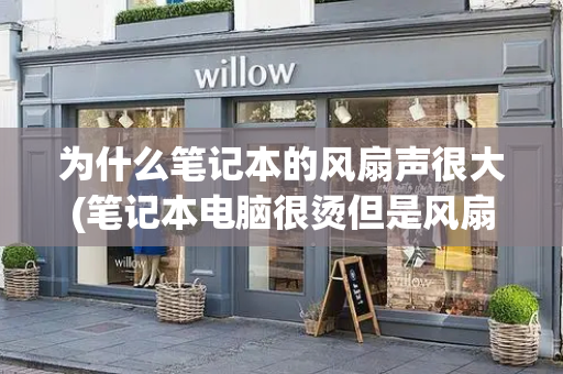 为什么笔记本的风扇声很大(笔记本电脑很烫但是风扇不转)