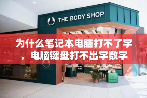 为什么笔记本电脑打不了字，电脑键盘打不出字数字