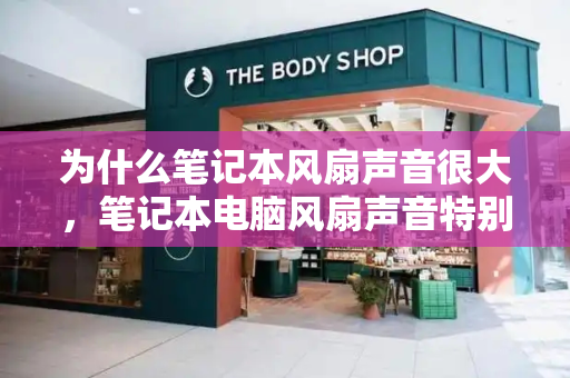 为什么笔记本风扇声音很大，笔记本电脑风扇声音特别大