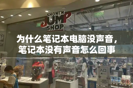 为什么笔记本电脑没声音，笔记本没有声音怎么回事