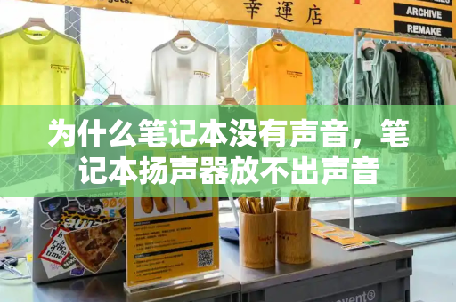 为什么笔记本没有声音，笔记本扬声器放不出声音